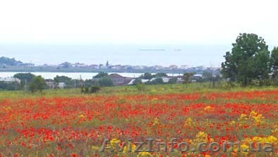 Продам или обменяю участок Одесса - <ro>Изображение</ro><ru>Изображение</ru> #1, <ru>Объявление</ru> #944838