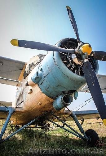 Химическая обработка посевов авиацией - <ro>Изображение</ro><ru>Изображение</ru> #1, <ru>Объявление</ru> #1013971