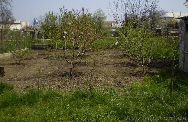 Продам участок в дачном хозяйстве на Тилигульском лимане - <ro>Изображение</ro><ru>Изображение</ru> #1, <ru>Объявление</ru> #1097338