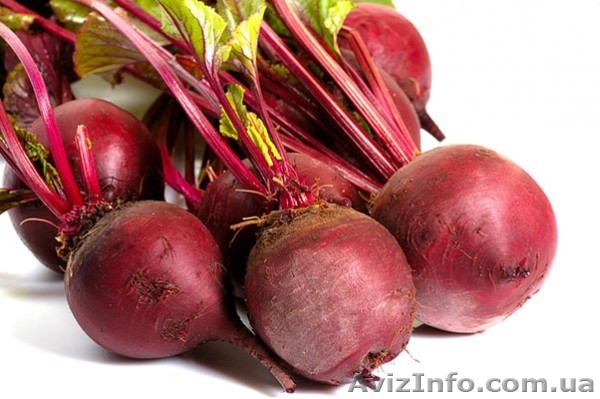 Продам свеклу раннюю - <ro>Изображение</ro><ru>Изображение</ru> #1, <ru>Объявление</ru> #1105815