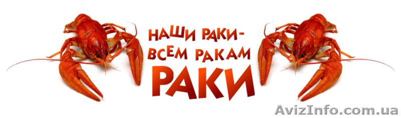 Раки оптом и в розницу - <ro>Изображение</ro><ru>Изображение</ru> #1, <ru>Объявление</ru> #1124512