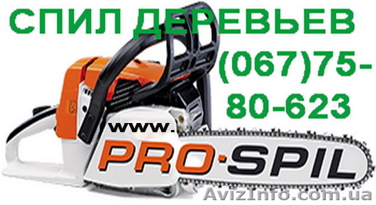 Услуги аренда автовышки и спил аварийных сухих деревьев в городе Одесса и на дач - <ro>Изображение</ro><ru>Изображение</ru> #1, <ru>Объявление</ru> #1114436