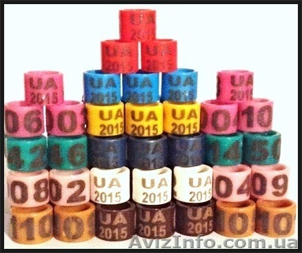 РОДОВЫЕ КОЛЬЦА ДЛЯ ГОЛУБЕЙ (8 мм) с годом 2014 - 2015 / без года . - <ro>Изображение</ro><ru>Изображение</ru> #1, <ru>Объявление</ru> #1147700