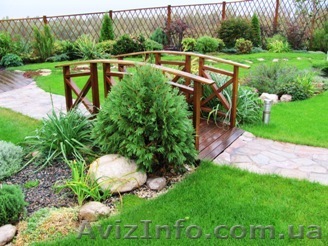 Ландшафтный дизайн, озеленение территории, авто полив - <ro>Изображение</ro><ru>Изображение</ru> #1, <ru>Объявление</ru> #1147990