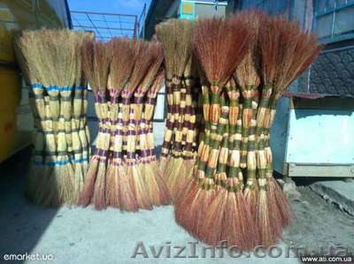 Продам веники сорно оптом - <ro>Изображение</ro><ru>Изображение</ru> #1, <ru>Объявление</ru> #1173967