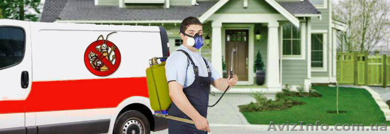 Дезинсекция и дератизация в Одессе и области - <ro>Изображение</ro><ru>Изображение</ru> #1, <ru>Объявление</ru> #1188908