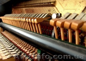 Настройка фортепиано - <ro>Изображение</ro><ru>Изображение</ru> #1, <ru>Объявление</ru> #1216809