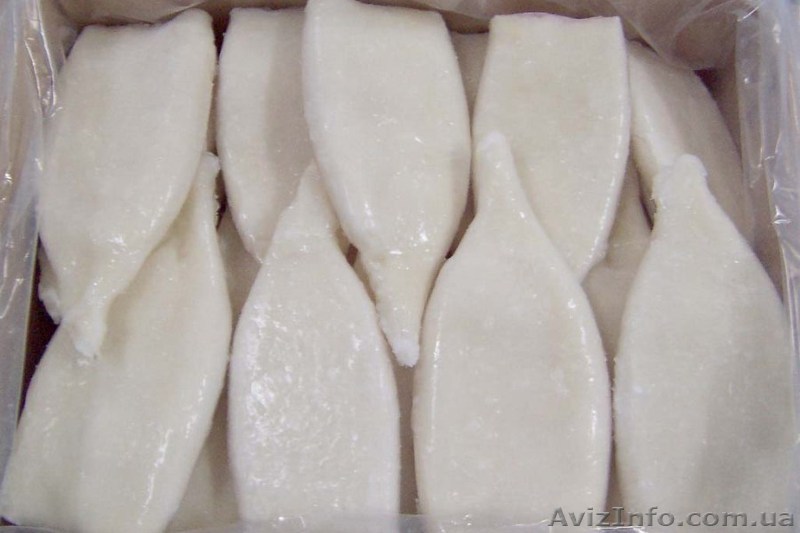 Кальмар туба в Одессе.  - <ro>Изображение</ro><ru>Изображение</ru> #1, <ru>Объявление</ru> #1216004