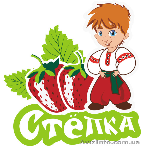 Продажа клубники - <ro>Изображение</ro><ru>Изображение</ru> #1, <ru>Объявление</ru> #1223020