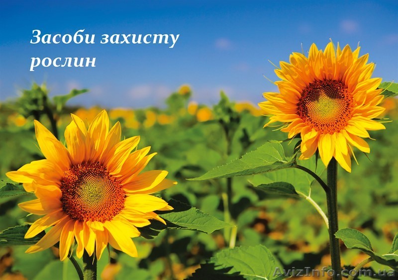 Протравители и Пестициды - <ro>Изображение</ro><ru>Изображение</ru> #1, <ru>Объявление</ru> #1131341