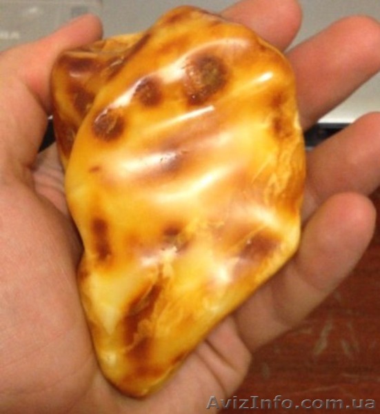 Куплю янтарь,бурштын,куски нефрита - <ro>Изображение</ro><ru>Изображение</ru> #1, <ru>Объявление</ru> #1258870