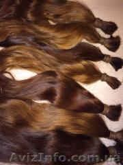 Дорого покупаю волосы. Самые большие цены. - <ro>Изображение</ro><ru>Изображение</ru> #1, <ru>Объявление</ru> #1260650