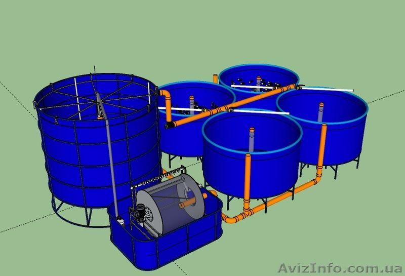Домашняя осетровая ферма 600 кг. - <ro>Изображение</ro><ru>Изображение</ru> #1, <ru>Объявление</ru> #1281153