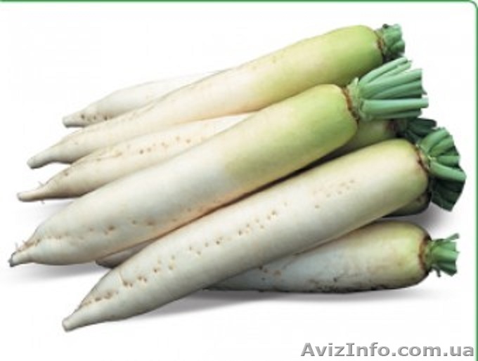 Семена редиса дайкон TITAN / ТИТАН (Китано) - <ro>Изображение</ro><ru>Изображение</ru> #1, <ru>Объявление</ru> #1278777