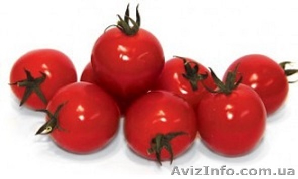 Семена томата CONORY F1 / КОНОРИ F1 фирмы Китано - <ro>Изображение</ro><ru>Изображение</ru> #1, <ru>Объявление</ru> #1274654