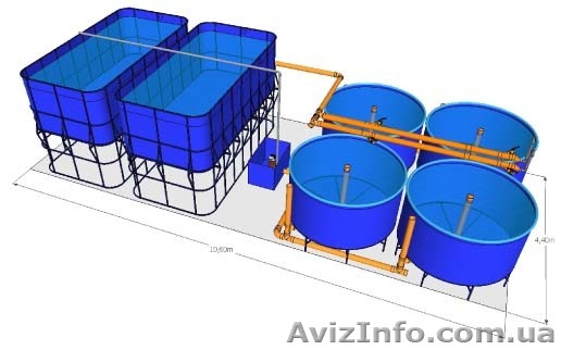 Домашняя осетровая ферма 1,2т - <ro>Изображение</ro><ru>Изображение</ru> #1, <ru>Объявление</ru> #1290098
