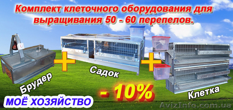 Комплект клеточного оборудования для выращивания перепелов. - <ro>Изображение</ro><ru>Изображение</ru> #1, <ru>Объявление</ru> #1290475