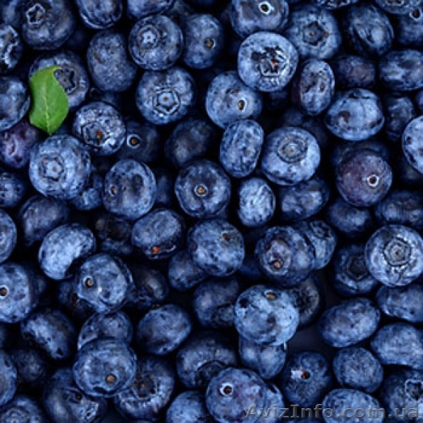 Черника свежемороженая в Одессе. - <ro>Изображение</ro><ru>Изображение</ru> #1, <ru>Объявление</ru> #1306355