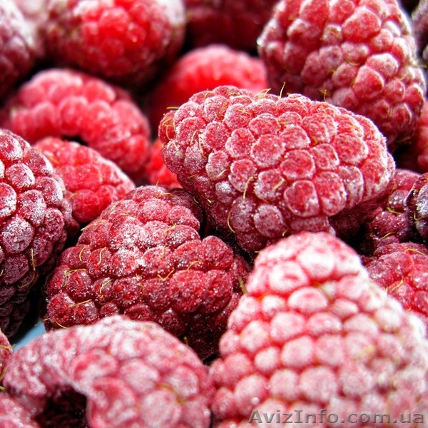 Малина свежемороженая в Одессе.  - <ro>Изображение</ro><ru>Изображение</ru> #1, <ru>Объявление</ru> #1305746