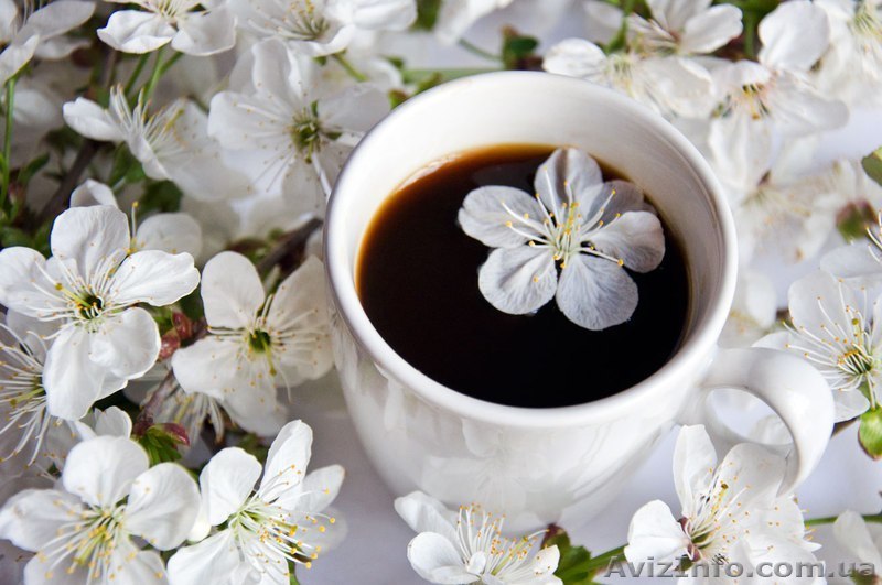 Приглашаю на ОЗДОРОВИТЕЛЬНЫЙ МАССАЖ ! Елена - <ro>Изображение</ro><ru>Изображение</ru> #1, <ru>Объявление</ru> #1325923