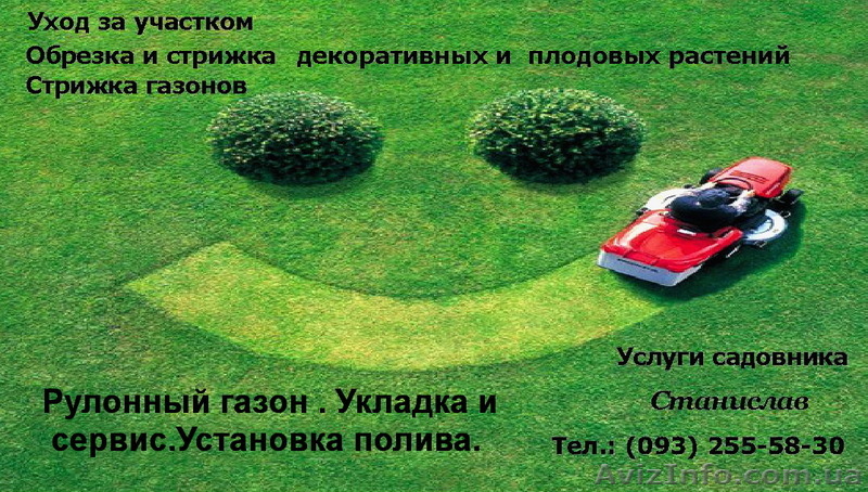 Рулонный газон . Укладка и сервис.Установка автоматического полива. - <ro>Изображение</ro><ru>Изображение</ru> #1, <ru>Объявление</ru> #1321102