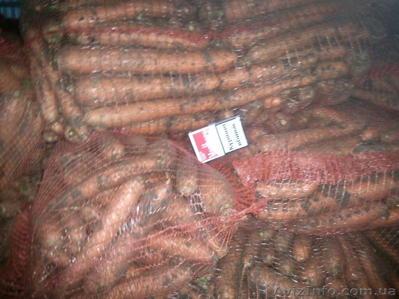 Морковь товарная и нетоварная, НДС. - <ro>Изображение</ro><ru>Изображение</ru> #1, <ru>Объявление</ru> #1340988