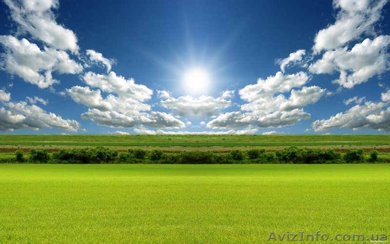 Вблизи от моря, вдали от суеты! - <ro>Изображение</ro><ru>Изображение</ru> #1, <ru>Объявление</ru> #1352159