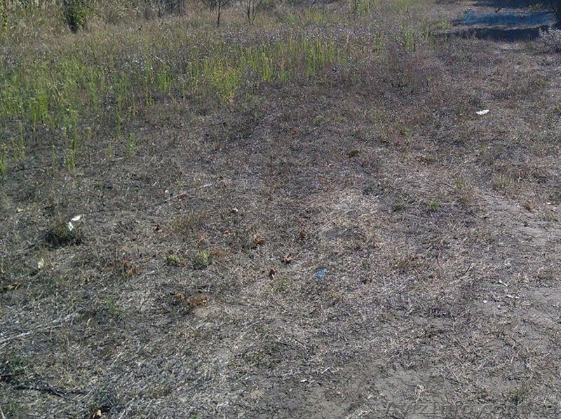 Одесская обл, Овидиопольский район, Доброалександровка, Новоселов ул. - <ro>Изображение</ro><ru>Изображение</ru> #1, <ru>Объявление</ru> #1347396