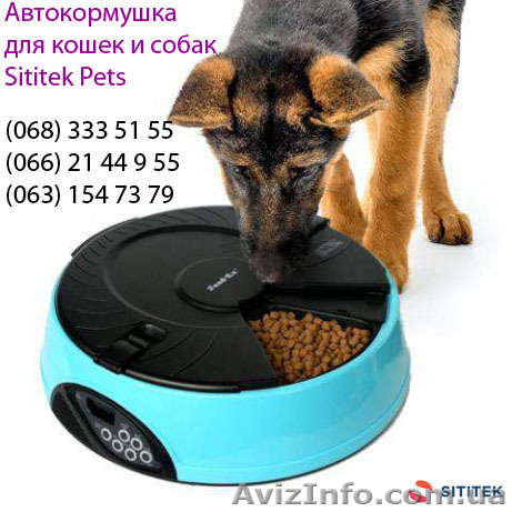 Автокормушка для кошек и собак оригинал бренда SITITEK Pets - <ro>Изображение</ro><ru>Изображение</ru> #1, <ru>Объявление</ru> #1349245