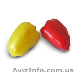 Семена перца сладкого Яника F1 1000 семян (Kitano Seeds) - <ro>Изображение</ro><ru>Изображение</ru> #1, <ru>Объявление</ru> #1353051