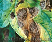 Продам Гербицид Гезагард, Фумигант Фостер, Монсанто. - <ro>Изображение</ro><ru>Изображение</ru> #1, <ru>Объявление</ru> #1418844