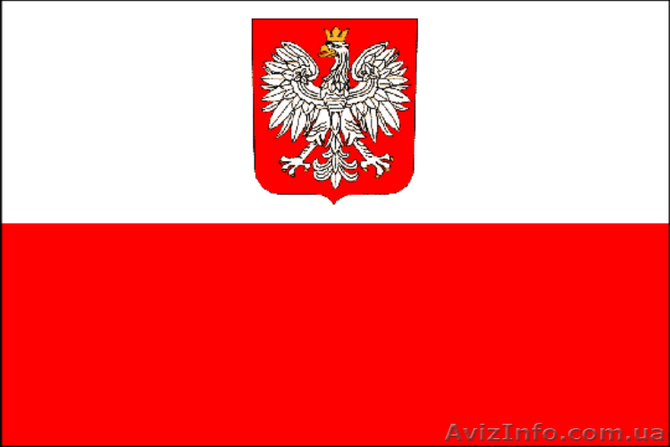 Работа в Польше. Сварщики, строители, разнорабочие. - <ro>Изображение</ro><ru>Изображение</ru> #1, <ru>Объявление</ru> #1408615