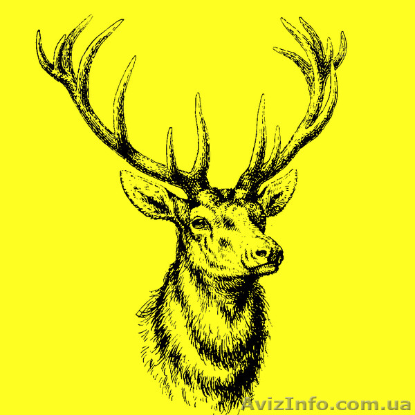 Мастерская покупает - <ro>Изображение</ro><ru>Изображение</ru> #1, <ru>Объявление</ru> #1441791