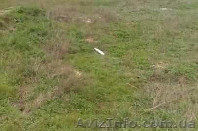 Продам земельный участок Институт Таирова, кооператив Виноградарь, ул. Научная - <ro>Изображение</ro><ru>Изображение</ru> #1, <ru>Объявление</ru> #1459782