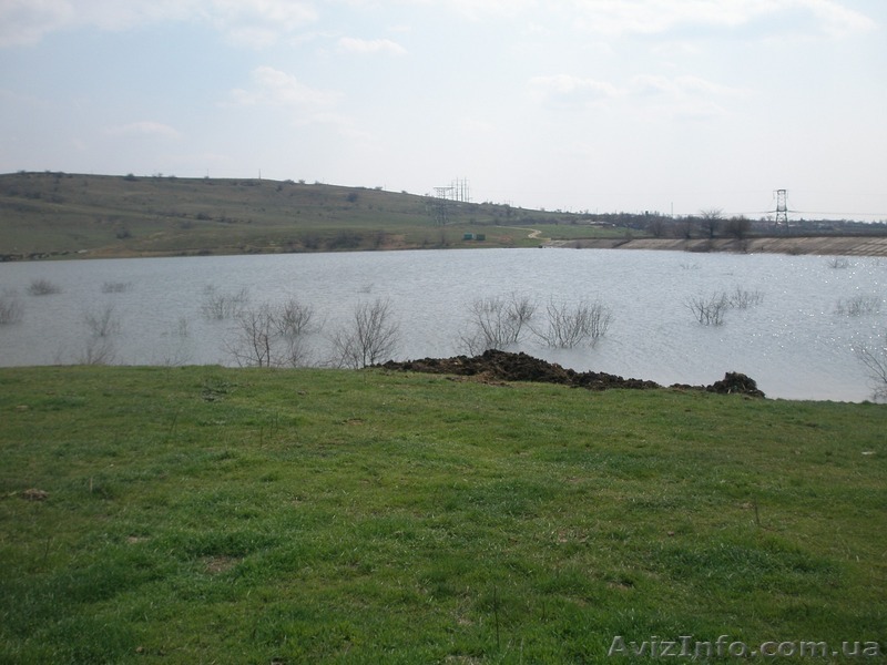 Предлагаем совместное развитие бизнеса - <ro>Изображение</ro><ru>Изображение</ru> #1, <ru>Объявление</ru> #1448595