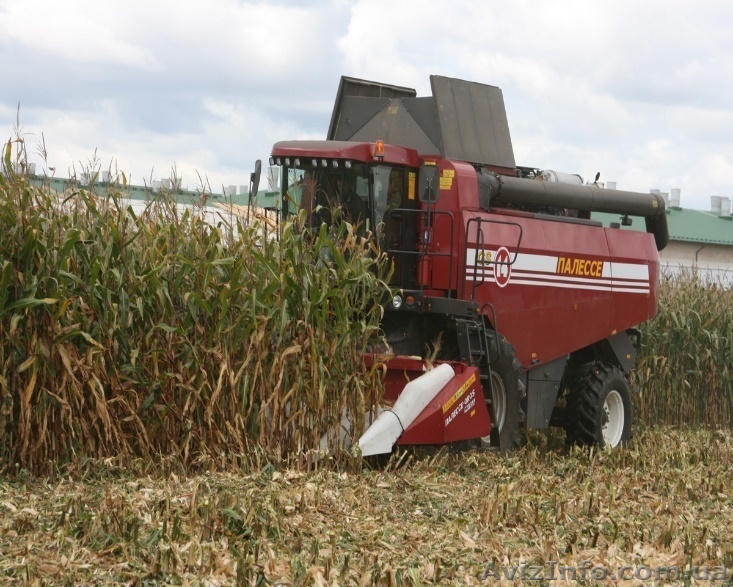 Комбайн зерноуборочный самоходный КЗС-1420 ПАЛЕССЕ GS14. Одесса - <ro>Изображение</ro><ru>Изображение</ru> #1, <ru>Объявление</ru> #1466787