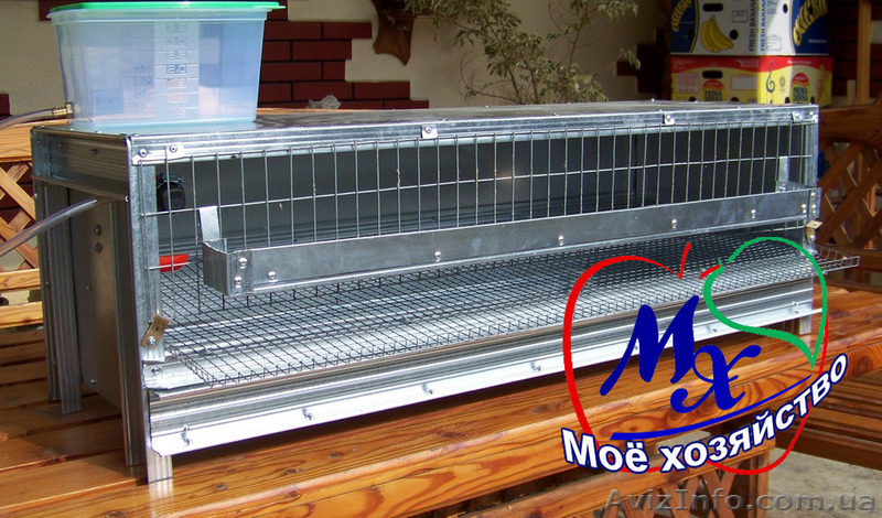  Купить клетку для содержания на 20 перепелов. - <ro>Изображение</ro><ru>Изображение</ru> #1, <ru>Объявление</ru> #1483508