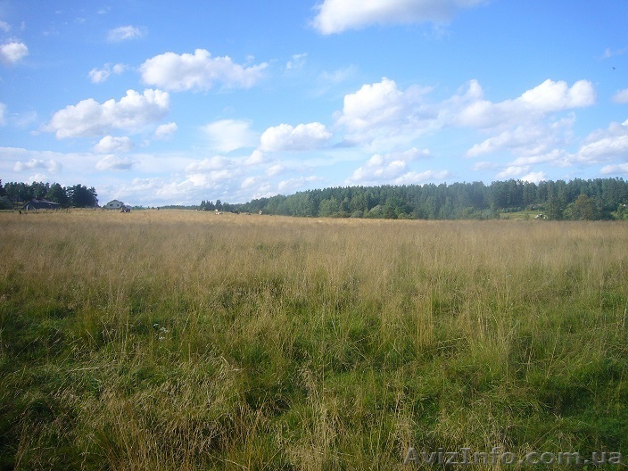 Продам участок 1,6 га 14 массив / Червоный Хутор. С/х назначения - <ro>Изображение</ro><ru>Изображение</ru> #1, <ru>Объявление</ru> #1486380