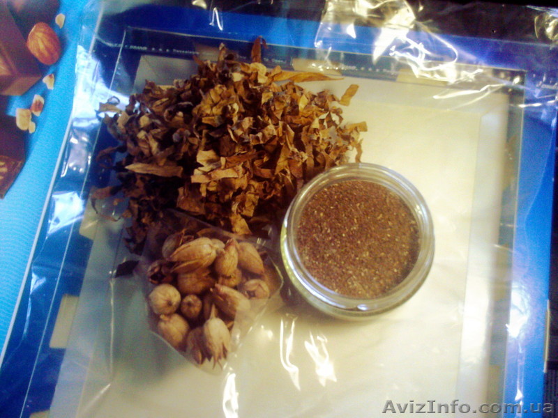 Купить семена табака (районированный) - <ro>Изображение</ro><ru>Изображение</ru> #1, <ru>Объявление</ru> #1528839