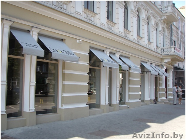 Маркиза с падающим локтем - <ro>Изображение</ro><ru>Изображение</ru> #1, <ru>Объявление</ru> #1545239