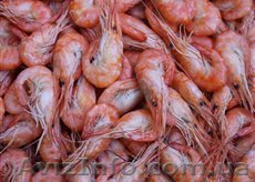 Черноморская креветка! - <ro>Изображение</ro><ru>Изображение</ru> #1, <ru>Объявление</ru> #1548201