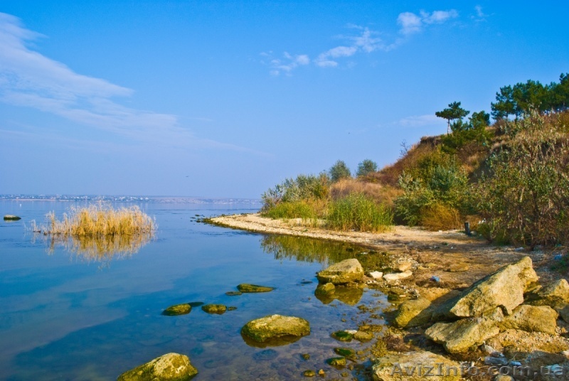 Срочно продаю дачу в Алтестово - <ro>Изображение</ro><ru>Изображение</ru> #1, <ru>Объявление</ru> #1556041