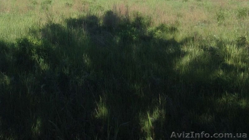 Продам участок 10 соток ул. Любашевская / Черноморка2 / Червоный хутор - <ro>Изображение</ro><ru>Изображение</ru> #1, <ru>Объявление</ru> #1576431