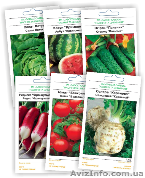 Семена оптом - <ro>Изображение</ro><ru>Изображение</ru> #1, <ru>Объявление</ru> #1610849