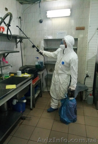 Травить тараканов Одесса. Служба по борьбе с тараканами - <ro>Изображение</ro><ru>Изображение</ru> #1, <ru>Объявление</ru> #1611065