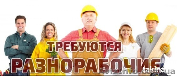 Требуются разнорабочие  с. Сухой Лиман - <ro>Изображение</ro><ru>Изображение</ru> #1, <ru>Объявление</ru> #1621594