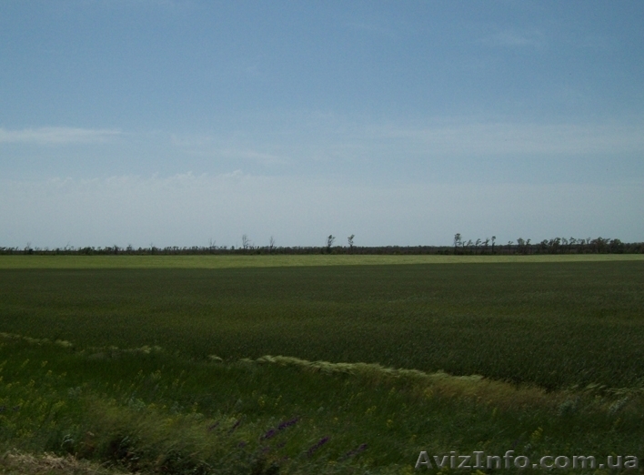 Фасадный участок под логистику, склад - 3,5 га, Одесская объездная дорога. - <ro>Изображение</ro><ru>Изображение</ru> #1, <ru>Объявление</ru> #1624397