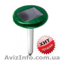 Избавиться от кротов на клумбе, защита от кротов - <ro>Изображение</ro><ru>Изображение</ru> #1, <ru>Объявление</ru> #1629896