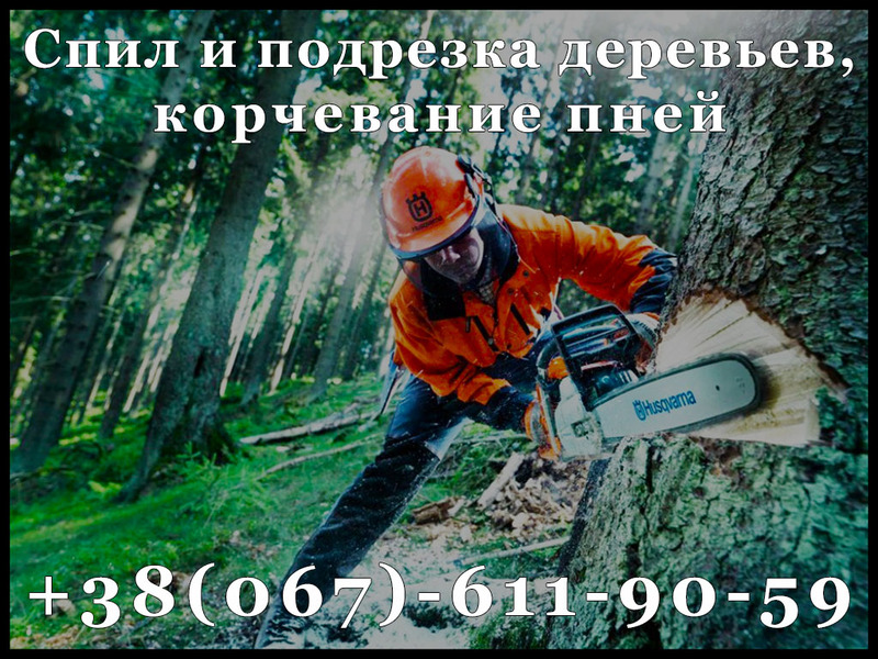 Спил и подрезка деревьев, корчевание пней - <ro>Изображение</ro><ru>Изображение</ru> #1, <ru>Объявление</ru> #1654134