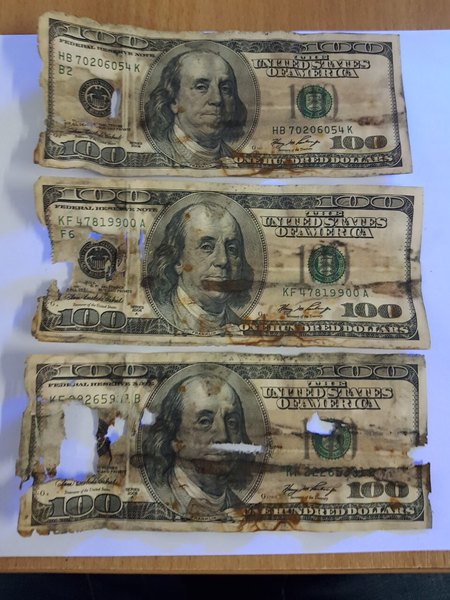 Обмен поврежденных купюр Одесса. - <ro>Изображение</ro><ru>Изображение</ru> #1, <ru>Объявление</ru> #1666504